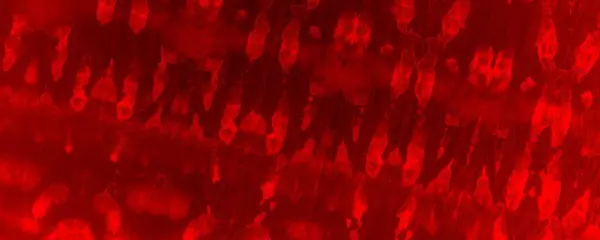 Red Dark Tie Dye Design Red Wall Organic Splash Color — Stock Photo, Image