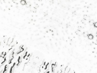 White Simple Girdap. Gri Çizgili Çizgi Çizgisi. Gri Vintage Soyut Fırça. Soyut Parlak Kağıt. Kağıt Soluk Yüzey. Desen Yazdırma Çizimi. Düz beyaz tuval. Kabataslak Çizim Arkaplanı. Kirli Hat Dökümcüsü