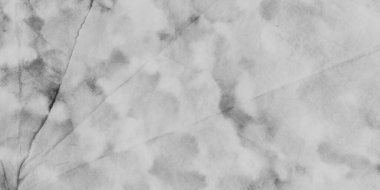 Gri Soyut Leke. Gri renkli akrilik leke. Suluboya tuval yıka. Renk yumuşaklığı lekesi. Modern Arkaplan Kağıt Deseni. Islak Yaratıcı Renk Şekli. Mürekkep Soyut Fırçası. Mürekkep Sıçratma Dokusunu Yıka