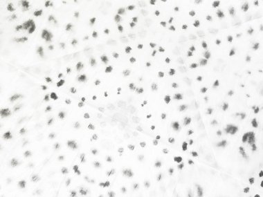 Gri Düz Sanat. White Old Simple Draw 'da. Soyut Yazdırma Çizimi. Soyut Beyaz Çizgili. Pis Pis Grunge. Beyaz Vintage Doku Fırçası. Çizgili Çizgi Moda. Kabataslak Çizim Arkaplanı. Kağıt Eski Döküm