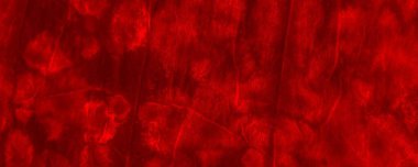 Red Dark Tie Dye Design. Red Dyed Tye Die Poster. Colour Explosion Banner. Summer Contemporary Splatter. Ink Gradient Slash. Plain Watercolor Concept. Red Transparent Illustration Color Abstract Fire.