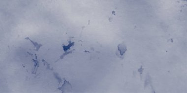 Parkta karla kaplı ağaçlar