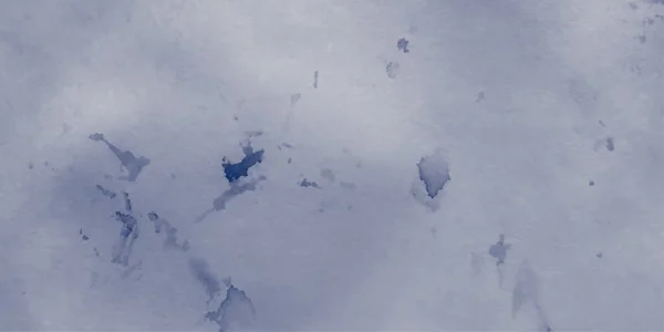 Parkta karla kaplı ağaçlar