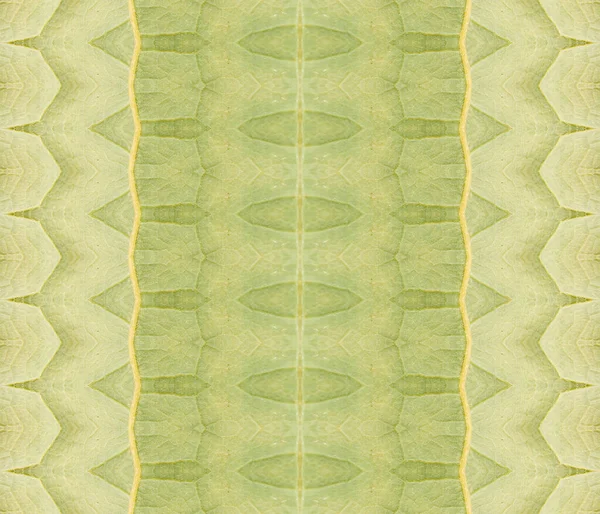 Kwaśne Geo Zig Zag Zielony Zabarwiony Batik Zielony Barwnik Batik — Zdjęcie stockowe
