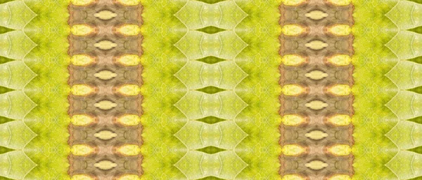 ブラウン ダイの略 ブルー エスニック インク ブラウン ペイント 黄色い染料ブラシ 緑のボヘミアンテクスチャ 緑のパターンバティック — ストック写真