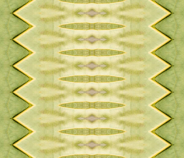 Acid Geo Textile Guld Etnisk Rand Green Grain Abstract Guldbläck — Stockfoto