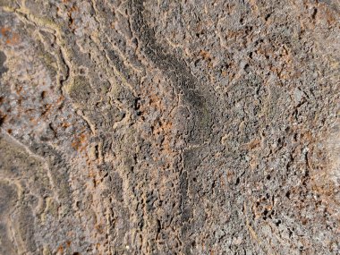 Çelik Demir Paslı Doku. Paslı Yapı Arkaplanı. Paslı Grunge Korozyonu. Kırmızı Bakır Yapı. Çelik Vintage Pas. Metal Duvar Arkaplanı. Eski Rustik Metal Boyası. Çelik Aşınma Arkaplanı.