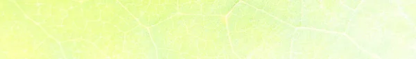 Niebieski Kolor Wody Marmur Neonowy Marmurowy Akwarela Złota Farba Atramentowa — Zdjęcie stockowe