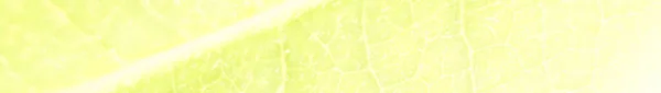 Neonowy Marmur Alkoholowy Złoty Marmur Akwarela Lekki Elegancki Wzór Tuszu — Zdjęcie stockowe