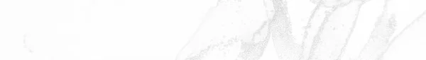 ゴールドパノラマダーティマーブル グレイ アート ペイント 概要ダーティテンプレートモダンダーティグリッター 灰色のパノラマライトキャンバス 灰色の大理石の背景 灰色の東洋の光の背景 太陽のパノラマの背景 — ストック写真