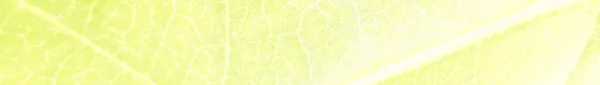 Złoto Alkoholowe Marmur Zielony Akwarela Gradientowa Luksusowy Szablon Abstrakcyjny Kolor — Zdjęcie stockowe