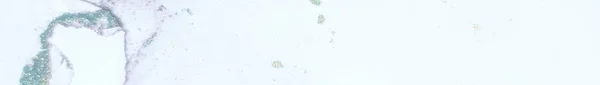 金色水彩画 现代抽象绘画 Geode Elegant Ink Glitter 黄金酒精水墨大理石 蓝色大理石背景 Neon Art — 图库照片