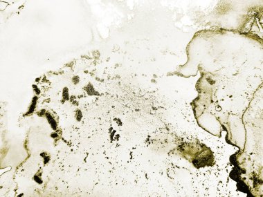 Altın Alkol Mürekkebi Parıltısı. Altın Sanat Boyası. Su Boyası Arkaplanı. Tahıl Soyut Arkaplan. Beyaz Su Renk Tablosu. Hafif Grunge Arkaplanı. Altın Şatafatlı Lüks Boyama. Hafif Lüks Doku.