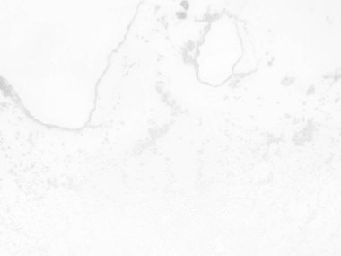 Altın rengi Grunge. Gri Parlak Lüks Şablon. Su Boyası Arkaplanı. Hafif Grunge Arkaplanı. Beyaz Parlak Doku. Gri mürekkep boyası. Parlak Altın Arkaplan. Folyo Alkol Mürekkebi Grunge.