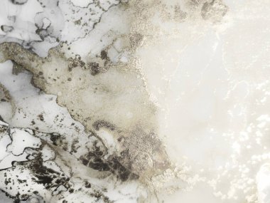 Gri Alkol Mürekkebi Grunge. Parlak Beyaz Şablon. Hafif Grunge Arkaplanı. Alkol Mürekkebi Geçmişi. Gri Modern Altın Şablon. Altın Sanat Boyası. Folyo Suyu Renkli Grunge. Parlak Soyut Arkaplan.