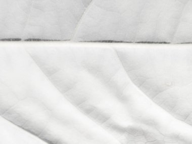 Gri Su Renkli Grunge. Hafif Zarif Desen. Gri Işık Soyut Şablonu. Parlak Doğulu Geçmişi. Su Boyası Arkaplanı. Hafif Grunge Arkaplanı. Folyo Alkol Mürekkep Tablosu. Altın Mürekkep Boyası.