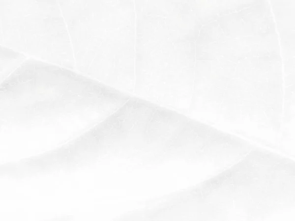 Серый Цвет Воды Золотая Чернила Светлый Восточный Фон Яркая Элегантная — стоковое фото
