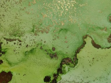 Altın Alkol Mürekkebi Mermeri. Bakır Alkol Mürekkep Suluboya. Folil Mermer Arkaplan. Yeşil Yağlı Boya. Altın Su Renkli Mermer. Yeşil Doğu Suluboya. Akışkan Zarif Doku. Modern Soyut Resim.