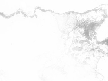 Altın Alkol Mürekkebi Grunge. Altın Lüks Soyut Ressamlık. Parlak Grunge Geçmişi. Folyo Suyu Renkli Grunge. Beyaz Parlak Şablon. Su Boyası Arkaplanı. Gri mürekkep boyası. Işık Gradyan Arkaplanı.