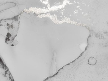 Gri Alkol Mürekkebi Grunge. Altın Sanat Boyası. Su Boyası Arkaplanı. Parlak Su Rengi Tablosu. Parlak Parlak Doku. Gri Beyaz Altın Şablon. Işık Gradyan Arkaplanı. Folil Grunge Arkaplanı.