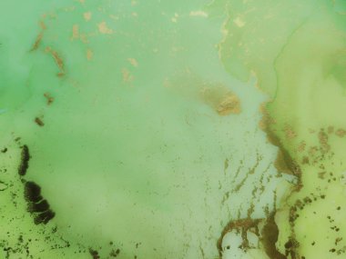 Altın Alkol Mürekkebi Mermeri. Yeşil Mermer Arkaplan. Folyo yağlı boya. Altın Su Renk Tablosu. Yeşil Doğu Suluboya. Bronz Alkol Mürekkebi. Akışkan Şablon. Lüks Soyut Şablon.