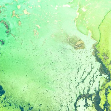 Altın rengi mermer. Yeşil Sanat Boyası. Folil Mermer Arkaplan. Altın Alkol Mürekkep Tablosu. Metal Su Rengi Suluboya. Foil Soyut Suluboya. Hafif Zarif Parıltı. Lüks Soyut Ressamlık.