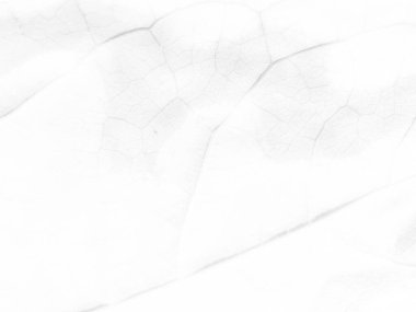 Altın rengi Grunge. Gri Sanat Boyası. Alkol Mürekkebi Geçmişi. Foil Soyut Arkaplan. Gri Modern Lüks Boyama. Beyaz Şablon. Parlak Grunge Geçmişi. Hafif Alkol Mürekkebi Grunge.