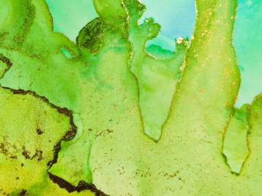 Mavi Alkol Mürekkebi Mermeri. Altın Akışkan Şablon. Yeşil Su Rengi Arkaplanı. Modern Soyut Ressamlık. Mavi Su Renkli Mermer. Altın Sanat Boyası. Altın doğulu suluboya. Mavi Mermer Arkaplan.