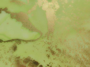 Yeşil Alkol Mürekkebi Mermeri. Lüks Su Rengi Tuvali. Folil Mermer Arkaplan. Bronz Su Boyası Suluboya. Yeşil Soyut Suluboya. Altın Sanat Boyası. Akıcı Zarif Parıltı. Modern Soyut Şablon.