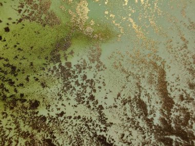 Folyo Su Boyası Mermeri. Altın Soyut Arkaplan. Metal Su Rengi Arkaplanı. Altın Alkol Mürekkep Tablosu. Yeşil Sanat Boyası. Altın Mermer Suluboya. Hafif Zarif Doku. Modern Soyut Resim.