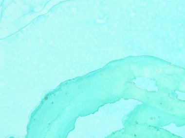 Folyo Su Boyası Mermeri. Altın yağlı boya. Metal Alkol Mürekkep Suluboya. Foil Soyut Suluboya. Beyaz Alkol Mürekkep Tablosu. Mavi Mermer Arkaplan. Jeodot Zarif Doku. Lüks Soyut Ressamlık.