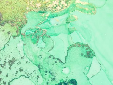 Folyo Su Boyası Mermeri. Yeşil Yağlı Boya. Altın Mermer Suluboya. Metal Su Rengi Arkaplanı. Foil Gradyan Arkaplanı. Beyaz Alkol Mürekkebi Mermeri. Hafif Zarif Doku. Lüks Soyut Şablon.