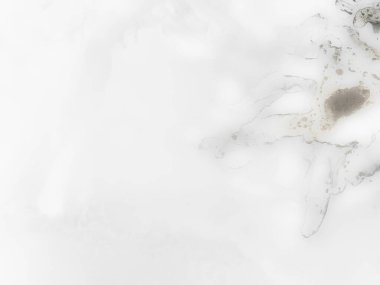 Gri Su Renkli Grunge. Parlak Lüks Şablon. Alkol Mürekkebi Geçmişi. Altın Sanat Boyası. Parlak Doğulu Geçmişi. Hafif Alkol Mürekkebi Tablosu. Folil Grunge arka planı. Altın Beyaz Lüks Şablon.