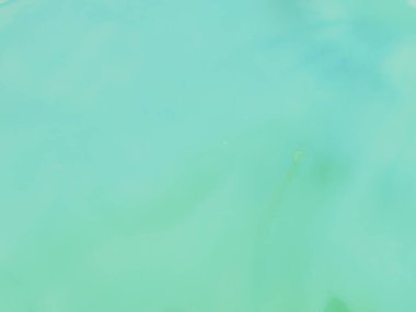 Mavi Su Renkli Mermer. Deniz Alkolü Mürekkep Tablosu. Yeşil Mermer Suluboya. Mavi Soyut Özgeçmiş. Yeşil Yağlı Boya. Okyanus Alkol Mürekkebi Suluboya. Hafif Zarif Doku. Modern Soyut Şablon.