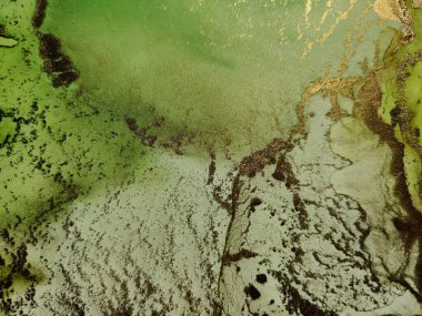 Yeşil Alkol Mürekkebi Mermeri. Yeşil Soyut Suluboya. Altın Sanat Boyası. Bakır Su Rengi Arkaplanı. Folil Mermer Arkaplan. Beyaz Su Renk Tablosu. Akışkan Zarif Doku. Lüks Soyut Şablon.