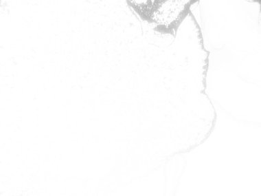 Gri Alkol Mürekkebi Grunge. Açık Altın Arkaplan. Parlak Sulu Renkli Grunge. Altın Sanat Boyası. Su Boyası Arkaplanı. Folil Grunge arka planı. Parlak Beyaz Şablon. Gri Modern Soyut Şablon.