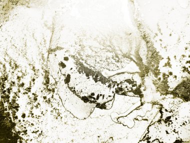 Altın Su Rengi Parıltısı. Hafif Zarif Desen. Altın Açık Altın Boyama. Grain Grunge Arkaplanı. Altın Sanat Boyası. Su Boyası Arkaplanı. Hafif Alkol Mürekkebi Parıltısı. Beyaz Gradyan Arkaplanı.