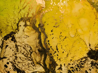 Altın Alkol Mürekkebi Mermeri. Mavi Su Renk Tablosu. Lüks Soyut Şablon. Yeşil Su Renkli Suluboya. Mavi Doğu Suluboya. Altın Mermer Arkaplan. Mavi mürekkep boyası. Altın Işık Zarif Şablon.