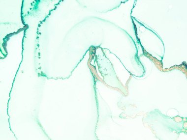 Altın rengi mermer. Mavi Mermer Arkaplan. Mavi mürekkep boyası. Altın Akıcı Zarif Doku. Mavi Alkol Mürekkep Tablosu. Lüks Soyut Şablon. Altın doğulu suluboya. Yeşil Alkol Mürekkebi Arkaplanı.