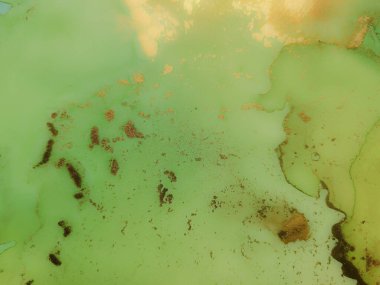 Altın Alkol Mürekkebi Mermeri. Bronz Alkol Mürekkebi. Lüks Su Rengi Tuvali. Yeşil Yağlı Boya. Altın Soyut Suluboya. Folil Mermer Arkaplan. Jeodot Zarif Doku. Lüks Soyut Ressamlık.