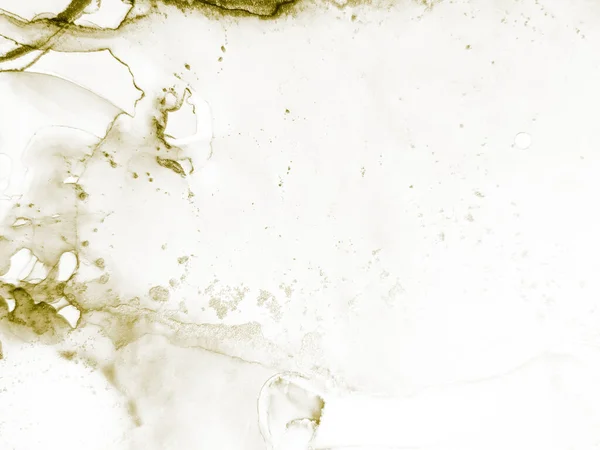 Couleur Eau Paillettes Feuille Oriental Background Grunge Encre Alcool Blanc — Photo