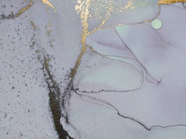 Altın Alkol Mürekkebi Mermeri. Lavanta Derece Geçmişi. Lüks Soyut Şablon. Hafif Zarif Doku. Mavi Su Renk Tablosu. Mavi Sanat Boyası. Leylak Alkol Mürekkebi. Altın Mermer Suluboya.