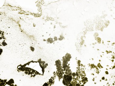 Altın Alkol Mürekkebi Grunge. Beyaz Altın Arkaplan. Su Boyası Arkaplanı. Açık Su Rengi Parıltısı. Altın Sanat Boyası. Altın beyazı lüks şablon. Sıvı Lüks Şablon. Folyo Parlatıcı Arkaplanı.