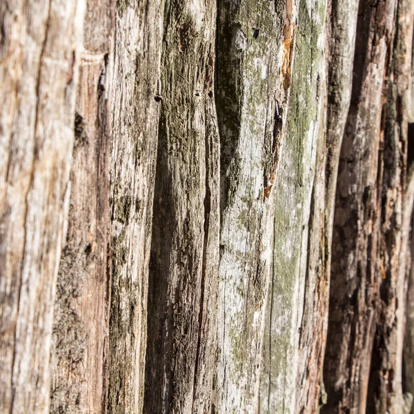 Old Wooden Fence Made Rough Uncouth Planks Darkened Age Daylight — Stock Photo, Image