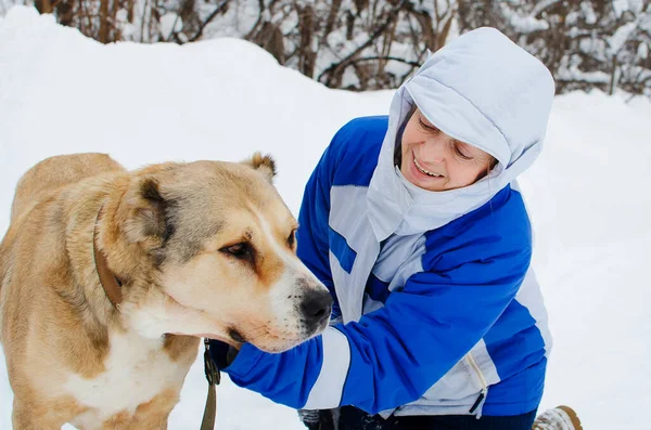 Egy Felnőtt Kutya Közép Ázsiai Pásztor Sétál Tulajdonosával Télen Parkban Stock Kép