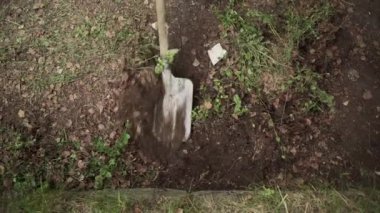 Bir kepçe kürekle toprağı temizliyor. Ormandaki terk edilmiş bir bölge.