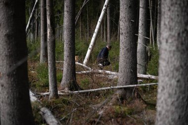 Büyükbaba ormanda yürüyor.