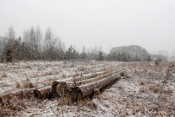 Kış manzarası, kar yağıyor, tarla karla kaplı.