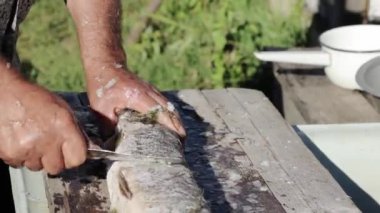 Bir adam doğada bir balığı temizler.