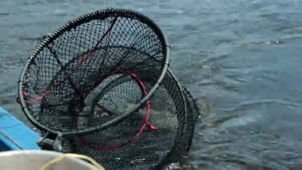 Сеть с рыбой опускается в реку во время рыбалки — стоковое видео